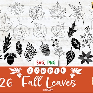 Herbst Blätter linear SVG, PNG Bundle digitale Clipart, Herbst Blätter SVG, Border, Pflanzen, Kranz Blätter SVG, dekorative Bordüre, kommerzielle Nutzung