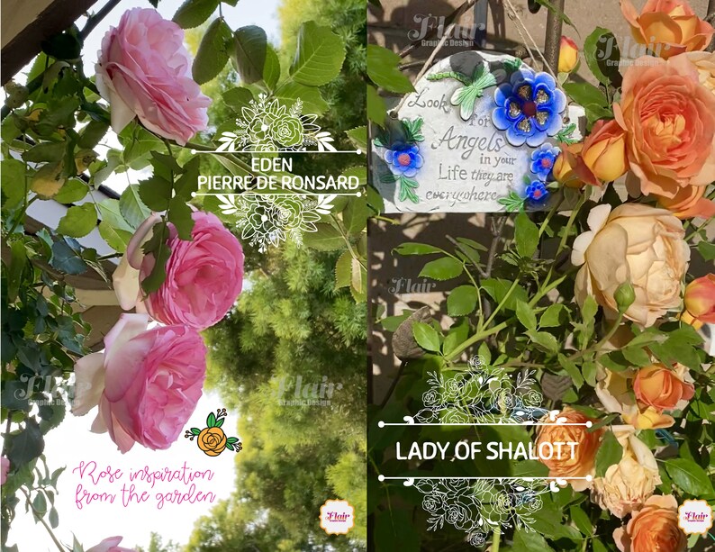 Roses Split Monograms SVG, PNG, DXF Bundle Series 1, Teacher's Monogram ...