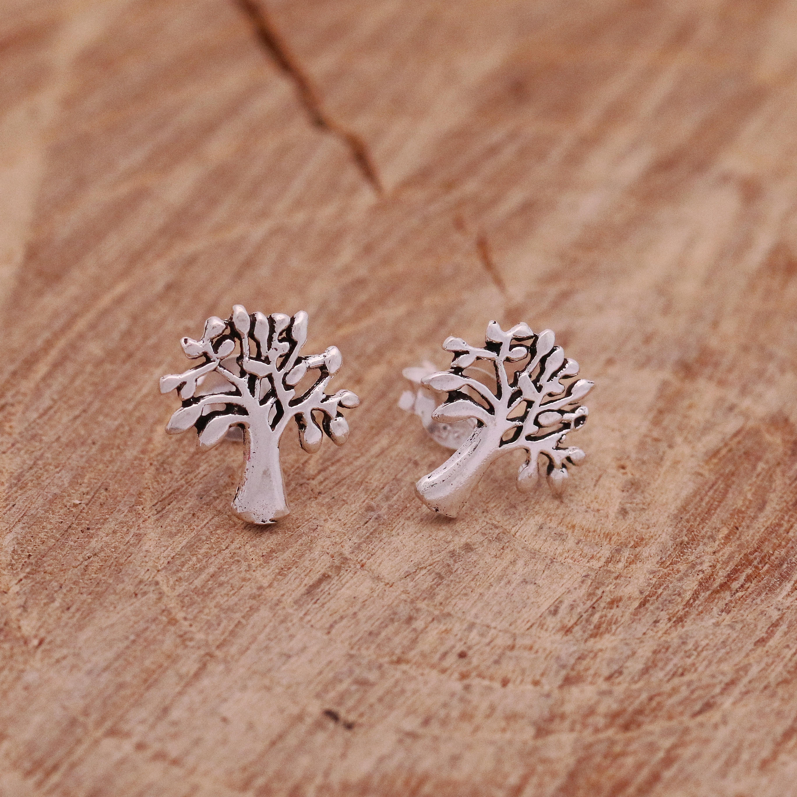 Tree with earrings. Names of trees with earrings Tree with earrings. Names of trees with earrings
