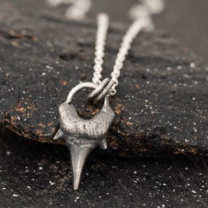3D Sterling Silver Shark Tooth Fossil Pendant Necklace, Shark Tooth Necklace, Shark Tooth Fossil Necklace, Unisex Necklace, Gift for Her