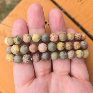 Fossil Coral Bracelet: 8mm Round Gemstone Crystal, stretch bracelet