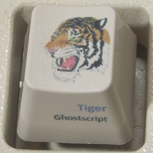 Custom keycap for IBM Model M keyboard