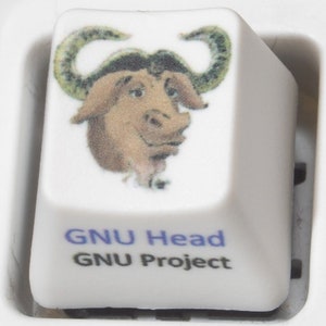 Puede incluir: Tecla de teclado blanca con una imagen de dibujos animados de un toro marrón con cuernos. El texto "GNU Head" y "GNU Project" está impreso debajo de la imagen.
