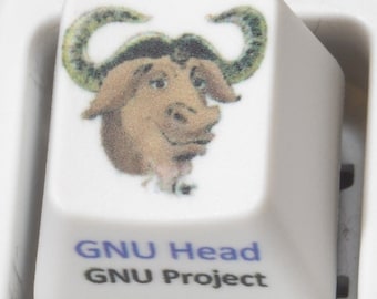 Custom ESC keycap for Cherry MX swtich