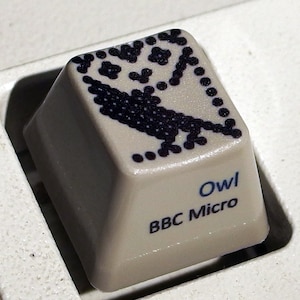 May include: A beige computer key with a black pixelated owl design and the text "Owl BBC Micro" printed on the bottom.