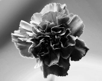Black And White Flower Center Monochrome Photography Printable Poster