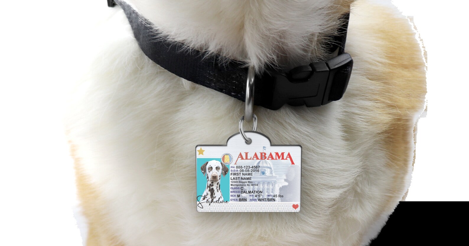 Personalized State ID Pet Tag Pet Tag Dog Tag License Pet Etsy