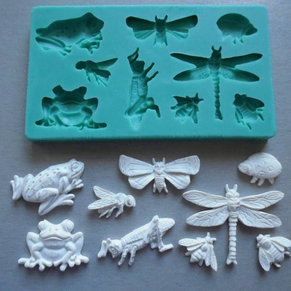 Molde de silicona / Insectos y ranas / Decoración de pasteles de azúcar / Molde de fimo