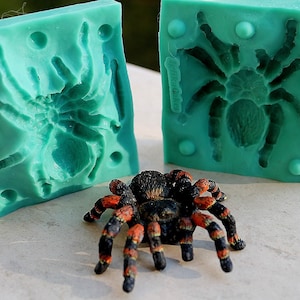 Silikonform / 3D Vogelspinne / Spinne / Halloween / Sugarcraft Kuchendekoration Fondant / Fimoform