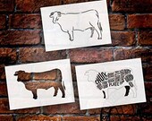 Cuts of Beef Stencil - 3 Part by StudioR12 Reusable Mylar Template Use to Paint Wood Signs - Pallets - Butcher Shop - DIY Country