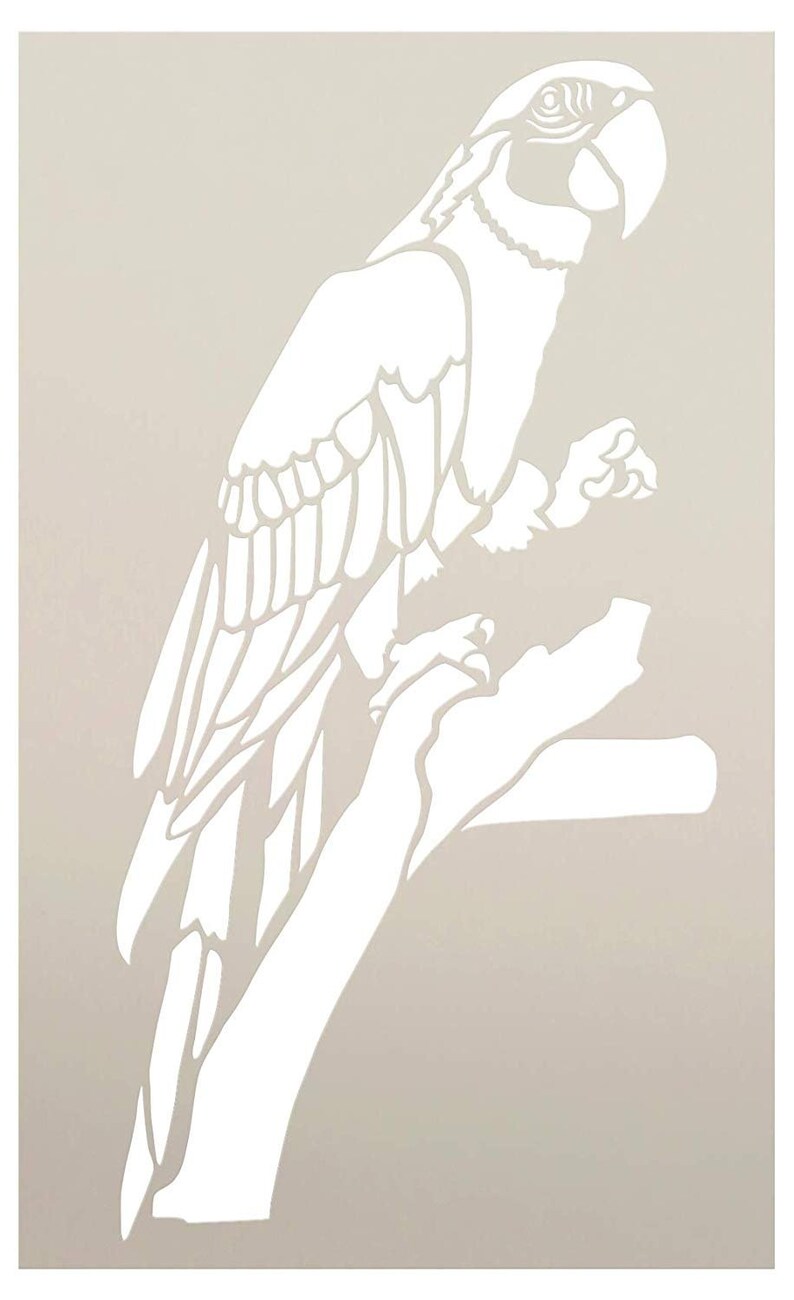 Parrot Stencil by Studior12 Zoo Animals DIY Creativity Fun - Etsy