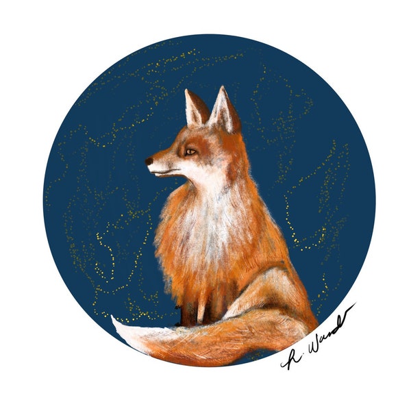 Momma Fox & the Big Night Sky