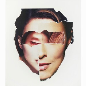 Karen Savage Collage "face" Series Color Photograph Woman Face Photo