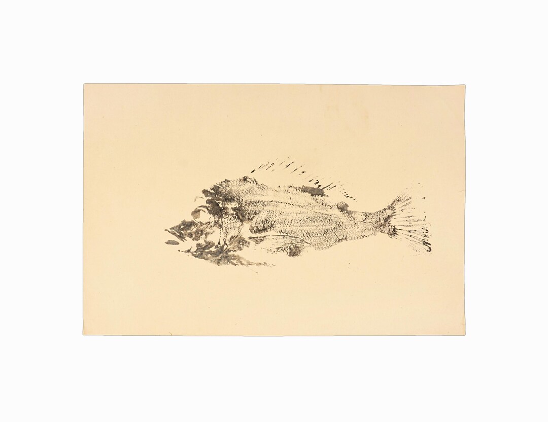 1960s Fish Ink Painting on Paper Mid Century Vintage - Etsy
