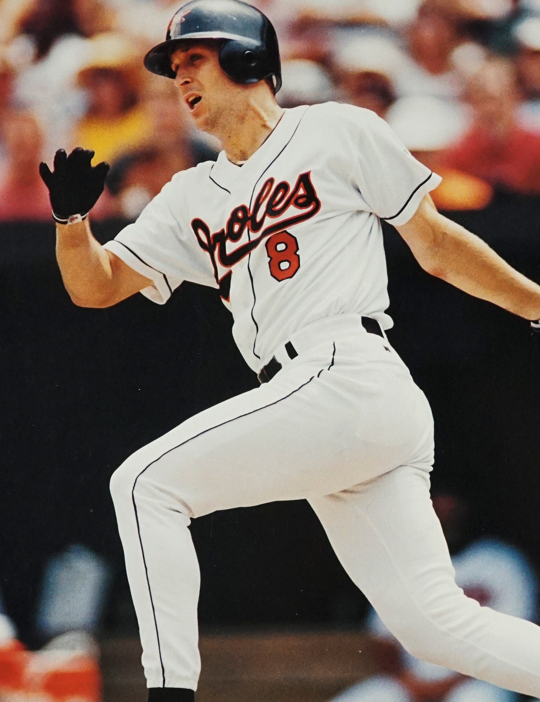 Cal Ripken Jr. Poster MLB Baseball 
