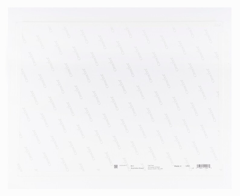May include: White, textured, rectangular sheet of paper with a repeating pattern of the word "Crescent" in a light gray color. The bottom right corner of the sheet has a small black and white barcode and the text "Made in USA".