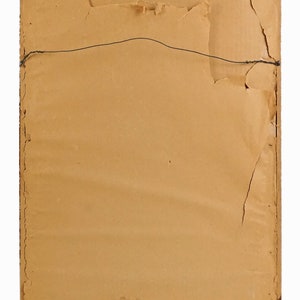 May include: The back of a framed picture with a brown paper backing. The frame is made of wood and has a gold finish. There is a wire hanger attached to the back of the frame.