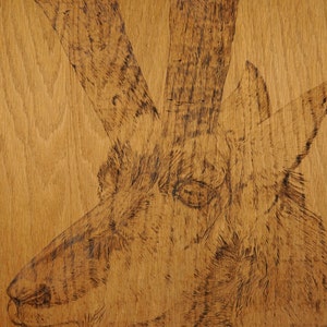 1985 Pyrography Goat Wall Art Pyrogravure Vintage Wood Burning - Etsy