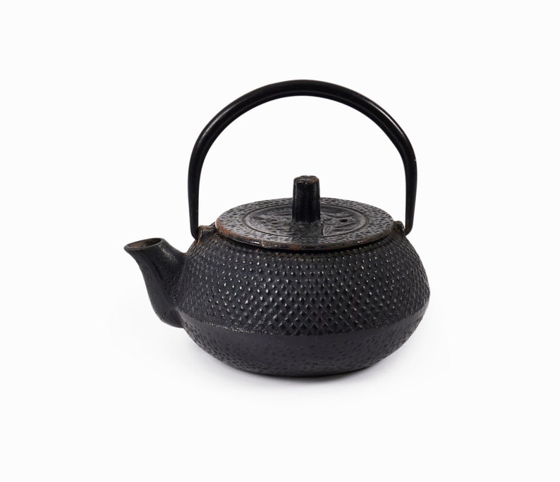Nambu Bunshudo Cast Iron Teapot Japan Etsy