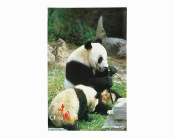 China Travel Poster Chinese Panda National Tourism Association Tourist Vintage