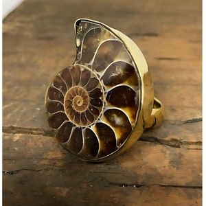 May include: A gold ring featuring a fossilized ammonite, a spiral-shaped shell with brown and white markings.