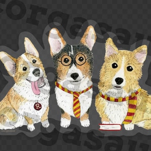 May include: Three corgi dogs wearing Harry Potter themed outfits. The corgi on the left is wearing a red and white scarf, the corgi in the middle is wearing a red and yellow tie and glasses, and the corgi on the right is wearing a yellow and red scarf. The corgi on the right is holding a book.