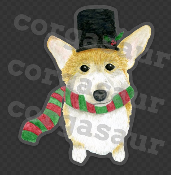 corgi with a hat