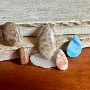 Michigan Cabochons, Lake Michigan Stones, Polished Michigan Rocks, Fossilized Gems for Jewelry, Petoskey Stone