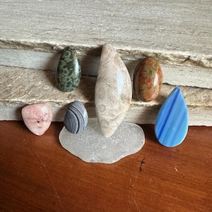 Michigan Cabochons, Lake Michigan Stones, Polished Michigan Rocks, Fossilized Gems for Jewelry, Petoskey Stone
