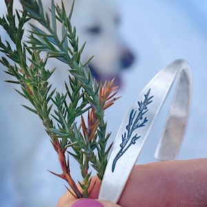 May include: A silver cuff bracelet with a dark blue botanical design. The bracelet is held near a sprig of green and orange foliage. The background is blurred, with a white dog visible.