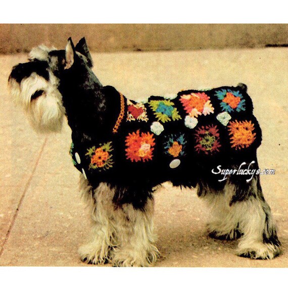 granny square dog sweater