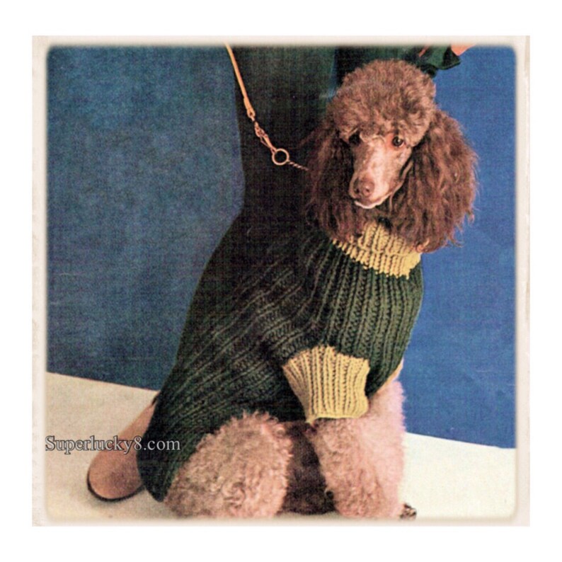 Vintage Dog Sweater Knitting Pattern in PDF Instant Download Etsy UK