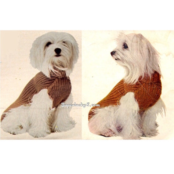 dog turtleneck sweater