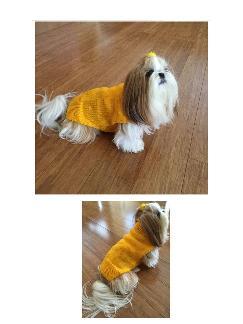 Yellow Dog Coat Knitting Pattern in PDF Instant Download Version , PDF