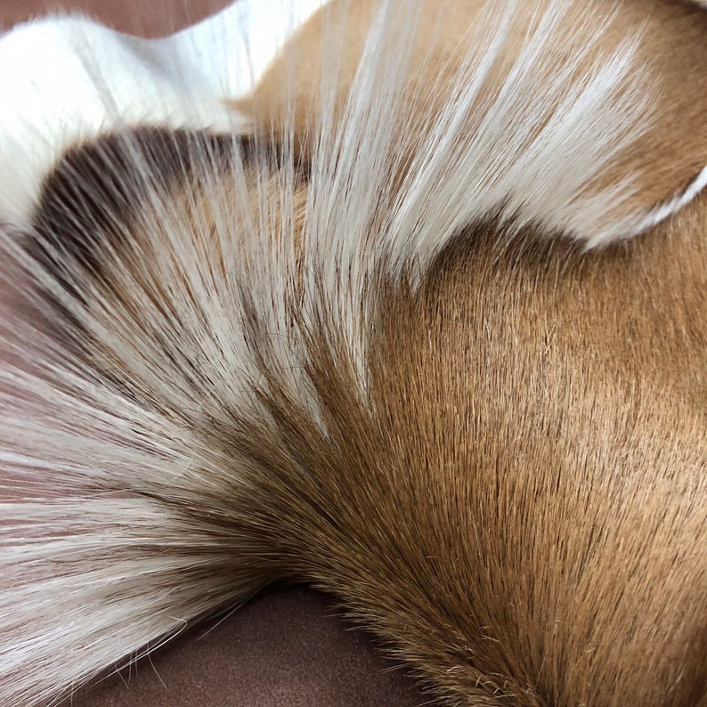 Springbok Hide Rug Natural