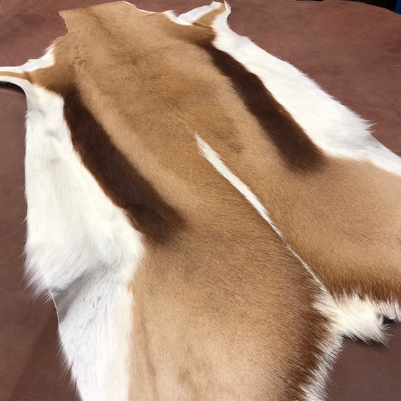 Springbok Hide Rug Natural