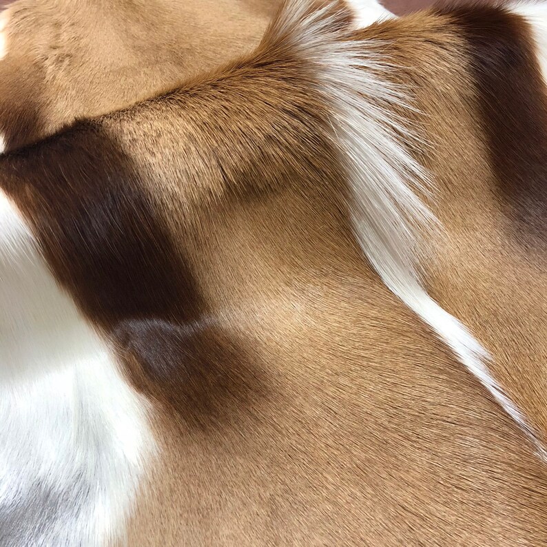 Springbok Hide Rug Natural