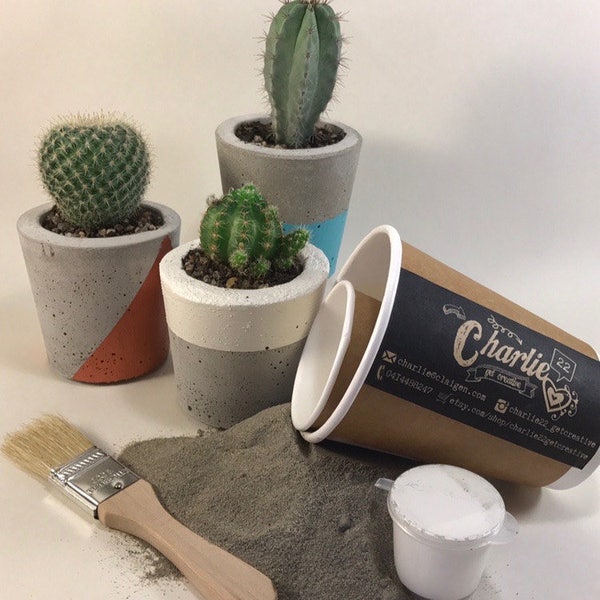 DIY Cement Pot Kit / Craft Kit / Gift for Adults / Gift for Teens / Gift for Kids