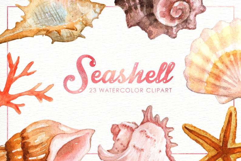 Seashells Watercolor Clipart, Nautical Watercolor Clip Art, Ocean Shell, Starfish, Coral, Beach Wedding Clipart, Summer Clipart, Invitation image 2