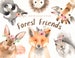 Forest Friends Watercolor Clip Art,Woodland Animals, Kids Clipart,Boho Clipart, Nursery Decor, Animal with flower crown, deer rabbit giraffe 