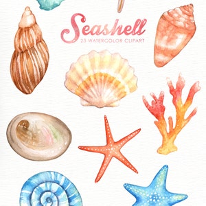 Seashells Watercolor Clipart, Nautical Watercolor Clip Art, Ocean Shell, Starfish, Coral, Beach Wedding Clipart, Summer Clipart, Invitation image 4