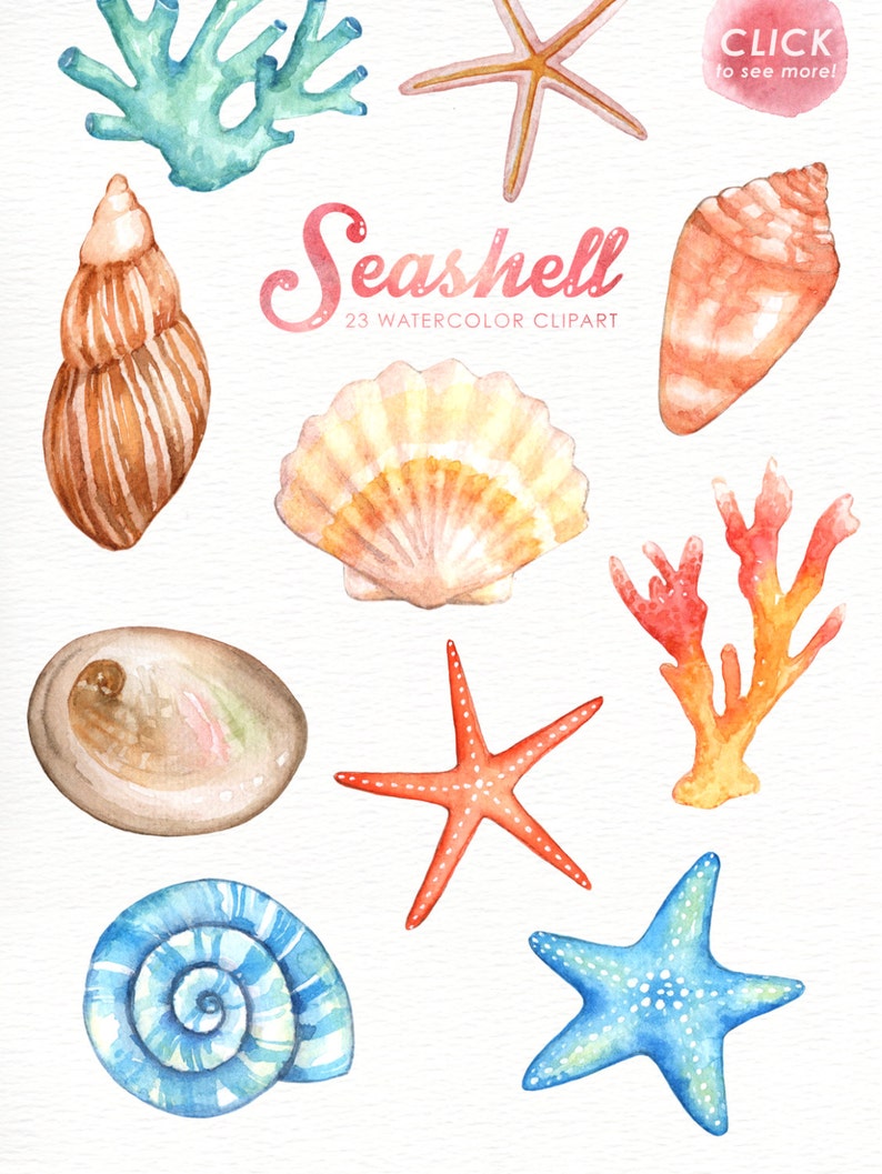 Seashells Watercolor Clipart, Nautical Watercolor Clip Art, Ocean Shell, Starfish, Coral, Beach Wedding Clipart, Summer Clipart, Invitation image 4