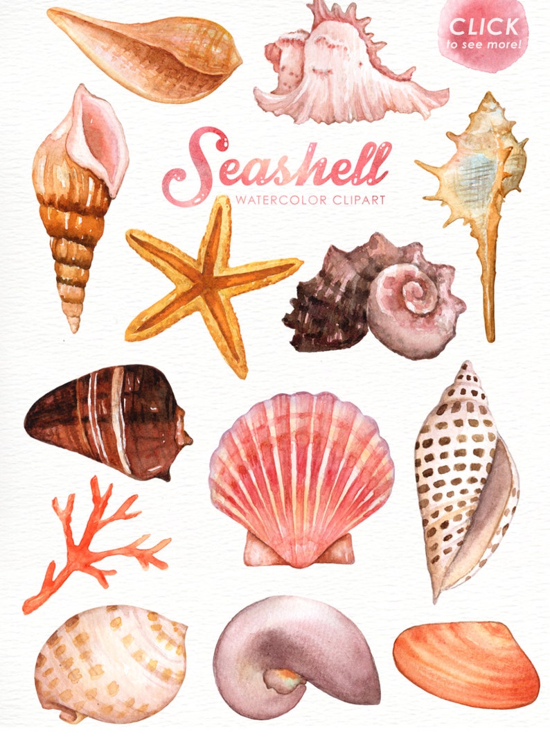 Seashells Watercolor Clipart, Nautical Watercolor Clip Art, Ocean Shell, Starfish, Coral, Beach Wedding Clipart, Summer Clipart, Invitation image 3