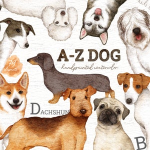 A-Z Dog Breeds Alphabets Watercolor Clip Arts, Woodland Animals, Kids Clipart,Dog Clipart, Nursery Decor, Pet, Pug, Dog Breeds, Puppy, Woof