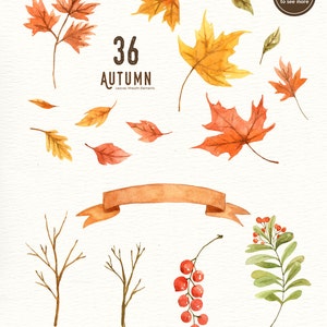 Autumn Leaf Watercolor Clipart, Wreath, Mushroom, Commercial Use, DIY, Hand Painted, Watercolour, Thanksgiving, Fall Leaves, Fall Foliage image 3