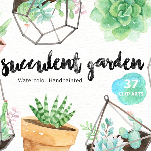 Succulent Garden Watercolor Cliparts, Glass Terrarium, Botanical Plant, Tropical Clipart, Blue Floral Pack, Succulent Wedding Invitation