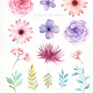 May include: Watercolor floral illustrations featuring a variety of flowers, leaves, and berries in pink, purple, blue, yellow, and green. The text "Enchanted DREAMS watercolor floral collection" is at the top of the image.