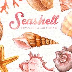 Seashells Watercolor Clipart, Nautical Watercolor Clip Art, Ocean Shell, Starfish, Coral, Beach Wedding Clipart, Summer Clipart, Invitation image 1