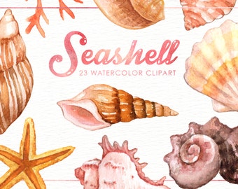 Seashells Watercolor Clipart, Nautical Watercolor Clip Art, Ocean Shell, Starfish, Coral, Beach Wedding Clipart, Summer Clipart, Invitation