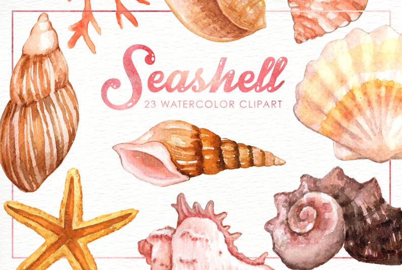 Seashells Watercolor Clipart, Nautical Watercolor Clip Art, Ocean Shell, Starfish, Coral, Beach Wedding Clipart, Summer Clipart, Invitation image 1